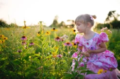 Great Pretenders Royal Pretty Princess, Rosa, Größe US 7-8 -Schleich Verkaufe 32017