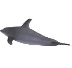 Mojo Besttoy Sealife - Großer Tümmler Delfin - Spielfigur 387118