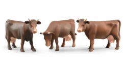 Bruder Kuh Braun (unterschiedliche Kopfstellungen, Sortiert) - 2308
