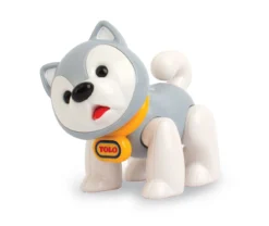 Husky Schwein Tolo