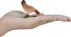 Mojo MGM Grand 387053 Figur Tier – Henne Picore Klein -Schleich Verkaufe mgm grand 387053 figur tier henne picore klein 3