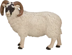 MOJO 387081 Animal Planet Figur, Weiß