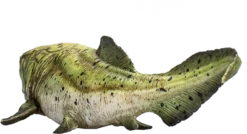 MOJO 387374 Dunkleosteus 18 Cm -Schleich Verkaufe mojo 387374 dunkleosteus 18 cm 3