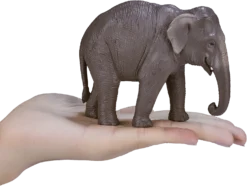MOJO Asiatischer Elefant, Realistische Internationale Tierwelt, Handbemalte Spielzeugfigur -Schleich Verkaufe mojo asiatischer elefant realistische internationale tierwelt handbemalte spielzeugfigur 3