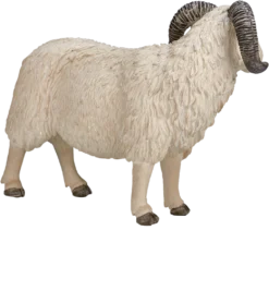 Mojo Schaf (RAM) Spielzeug Figur -Schleich Verkaufe mojo farm speelgoed schaap ram 3870 1