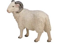 Mojo Schaf (RAM) Spielzeug Figur -Schleich Verkaufe mojo farm speelgoed schaap ram 3870 2