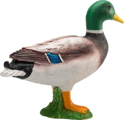 MOJO - Animal Planet Ente Mallard Drake, Mehrfarbig (387127) -Schleich Verkaufe mojo farm speelgoed wilde eend 387127