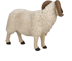 MOJO 387081 Animal Planet Figur, Weiß -Schleich Verkaufe mojo farm speelgoed zwartkopschaap ram 387081 1