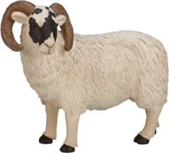 MOJO 387081 Animal Planet Figur, Weiß -Schleich Verkaufe mojo farm speelgoed zwartkopschaap ram 387081