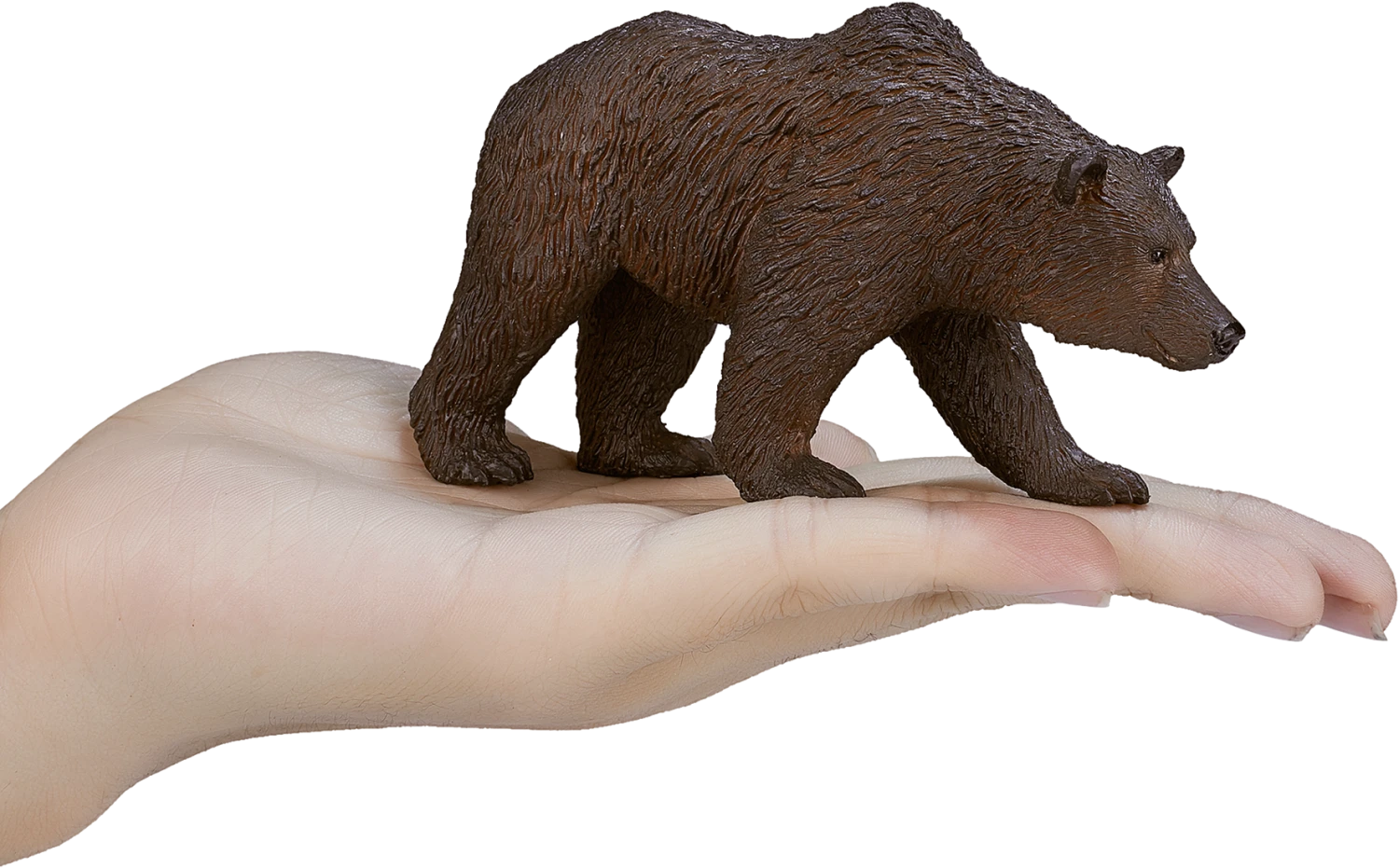 MOJO Grizzly Bear Modellfigur 3 MOJO Grizzly Bear Modellfigur – Bild 3