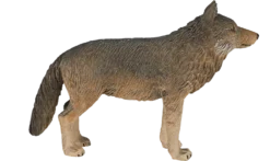 MOJO Holzwolf, Stehend, Realistische Internationale Tierwelt, Handbemalte Spielzeugfigur