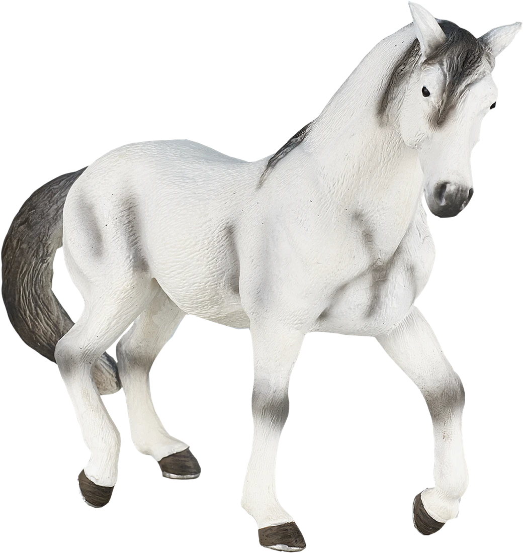 MOJO Andalusische Grau Realistische Reitpferde Club Handbemalte Spielzeugfigur 5 MOJO Andalusische Grau Realistische Reitpferde Club Handbemalte Spielzeugfigur – Bild 5