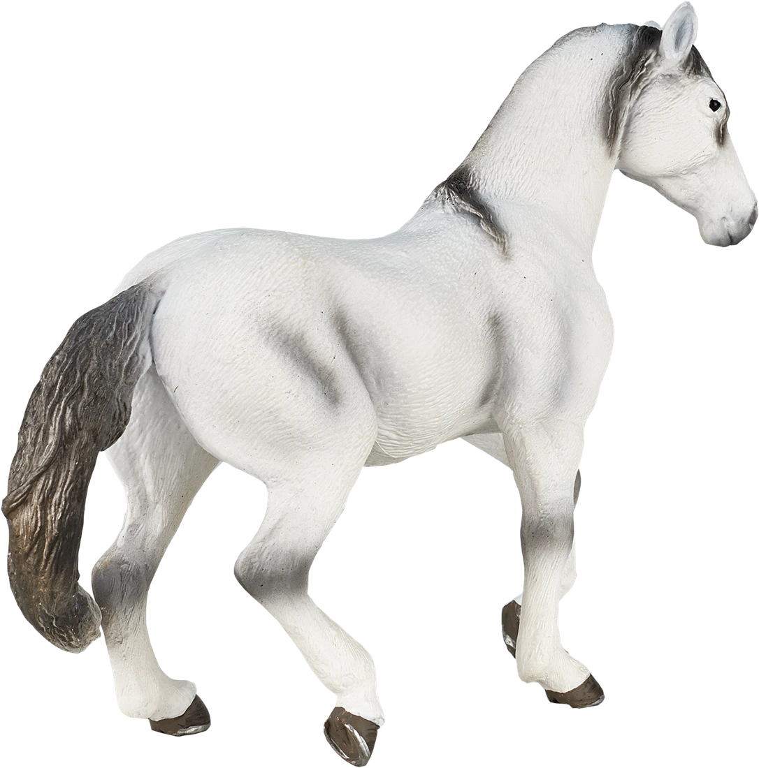 MOJO Andalusische Grau Realistische Reitpferde Club Handbemalte Spielzeugfigur 6 MOJO Andalusische Grau Realistische Reitpferde Club Handbemalte Spielzeugfigur – Bild 6