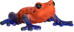 MOJO Poison Dart Baum Frosch Realistische Internationale Tierwelt Handbemalte Spielzeugfigur