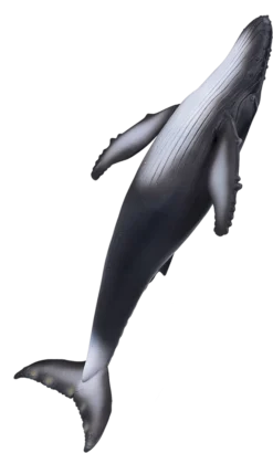 Mojo Science4you – Wal (387119.0) -Schleich Verkaufe mojo sealife speelgoed bultrug walvis 387119 2