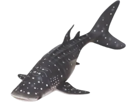 MOJO Whale Shark Modellfigur -Schleich Verkaufe mojo sealife speelgoed walvishaai 387278 2