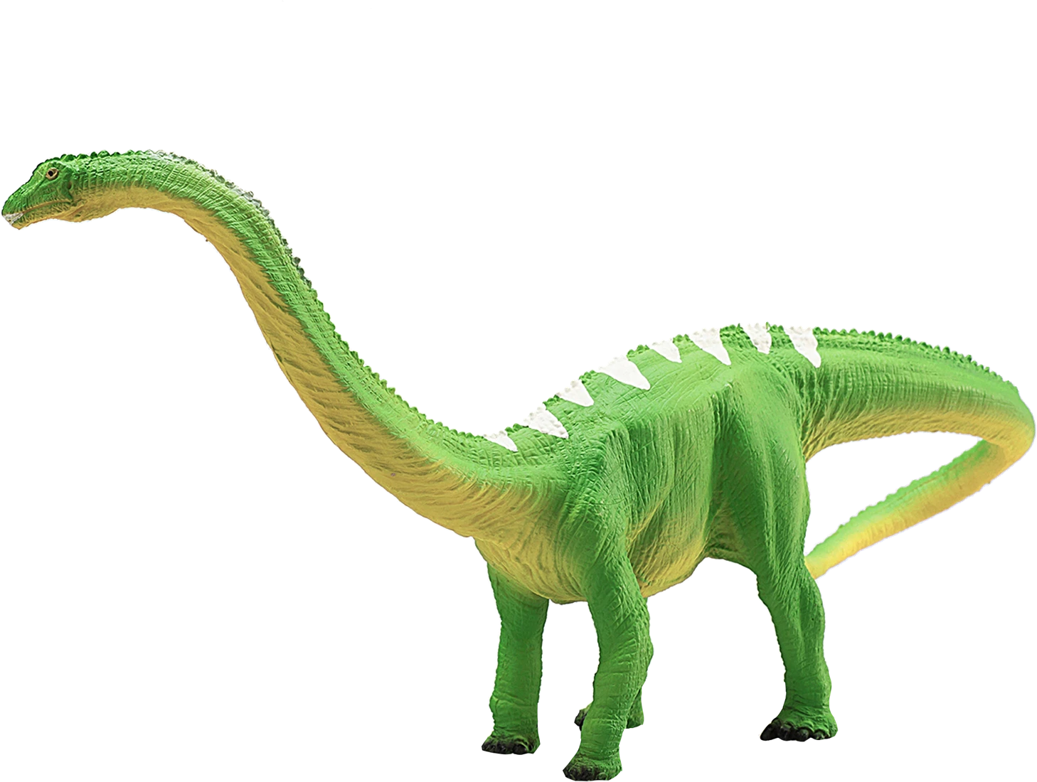 MOJO Diplodocus Modellfigur, Mehrfarbig, 387137 4 MOJO Diplodocus Modellfigur, Mehrfarbig, 387137 – Bild 4
