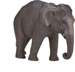MOJO Asiatischer Elefant, Realistische Internationale Tierwelt, Handbemalte Spielzeugfigur -Schleich Verkaufe mojo wildlife speelgoed aziatische olifant 387266 1