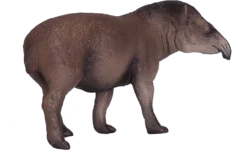 MOJO 381023 Animal Planet Tapir Brasileño Tiere, Braun -Schleich Verkaufe mojo wildlife speelgoed braziliaanse tapir 381023 1