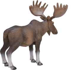 MOJO 387023 Spielfigur, Gemischt -Schleich Verkaufe mojo woodland speelgoed europese eland 387023 2