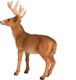 Mojo MGM 387038 – Figur Tier – Hirsch Groß – 10 x 13 cm -Schleich Verkaufe mojo woodland speelgoed witstaarthert bok 387036 1