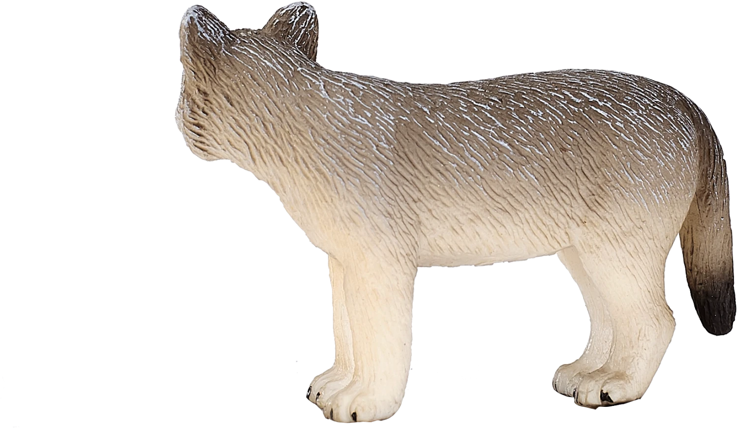 MOJO Wolf Cub Woodland Wildlife Tiermodell Spielzeugfigur 5 MOJO Wolf Cub Woodland Wildlife Tiermodell Spielzeugfigur – Bild 5