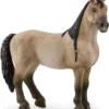 Schleich Horse Club - Criollo Definitivo Stute 13948