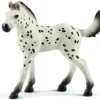 Schleich Pferde - KNABSTRUPPER VEULEN 13890